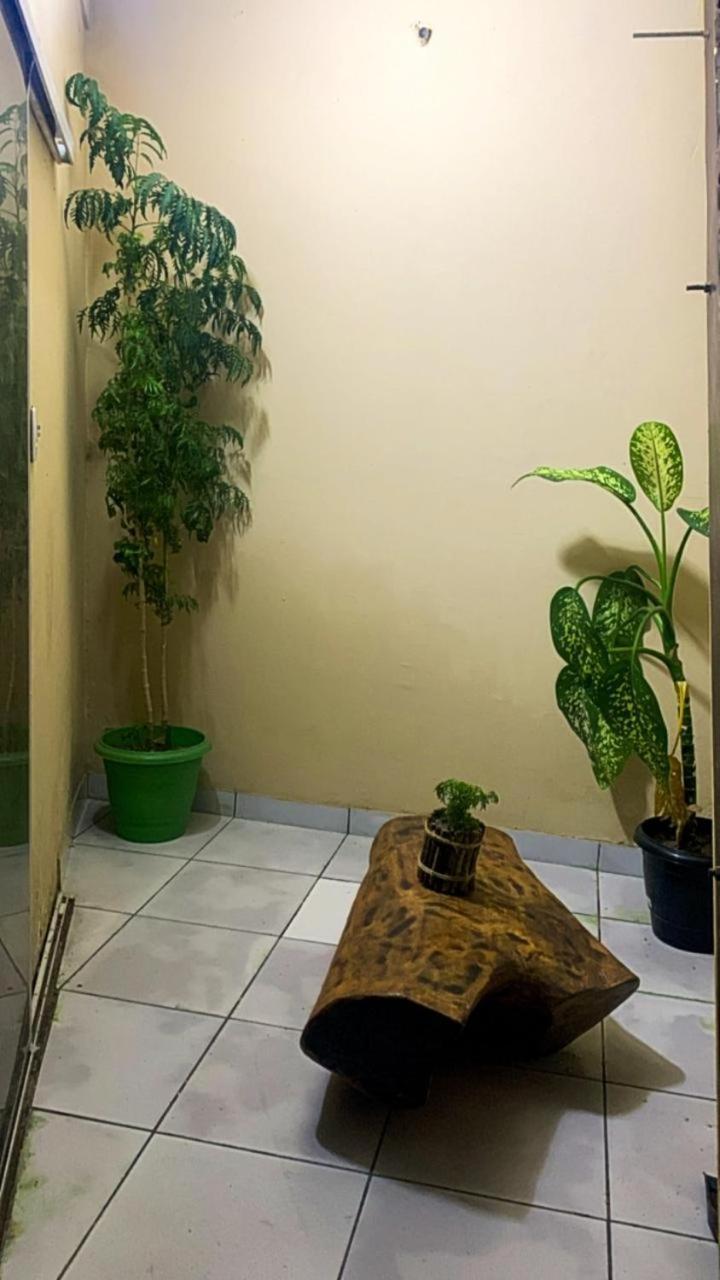 Pousada Shalom E Hostel Holly Land Santo Amaro do Maranhao Eksteriør bilde