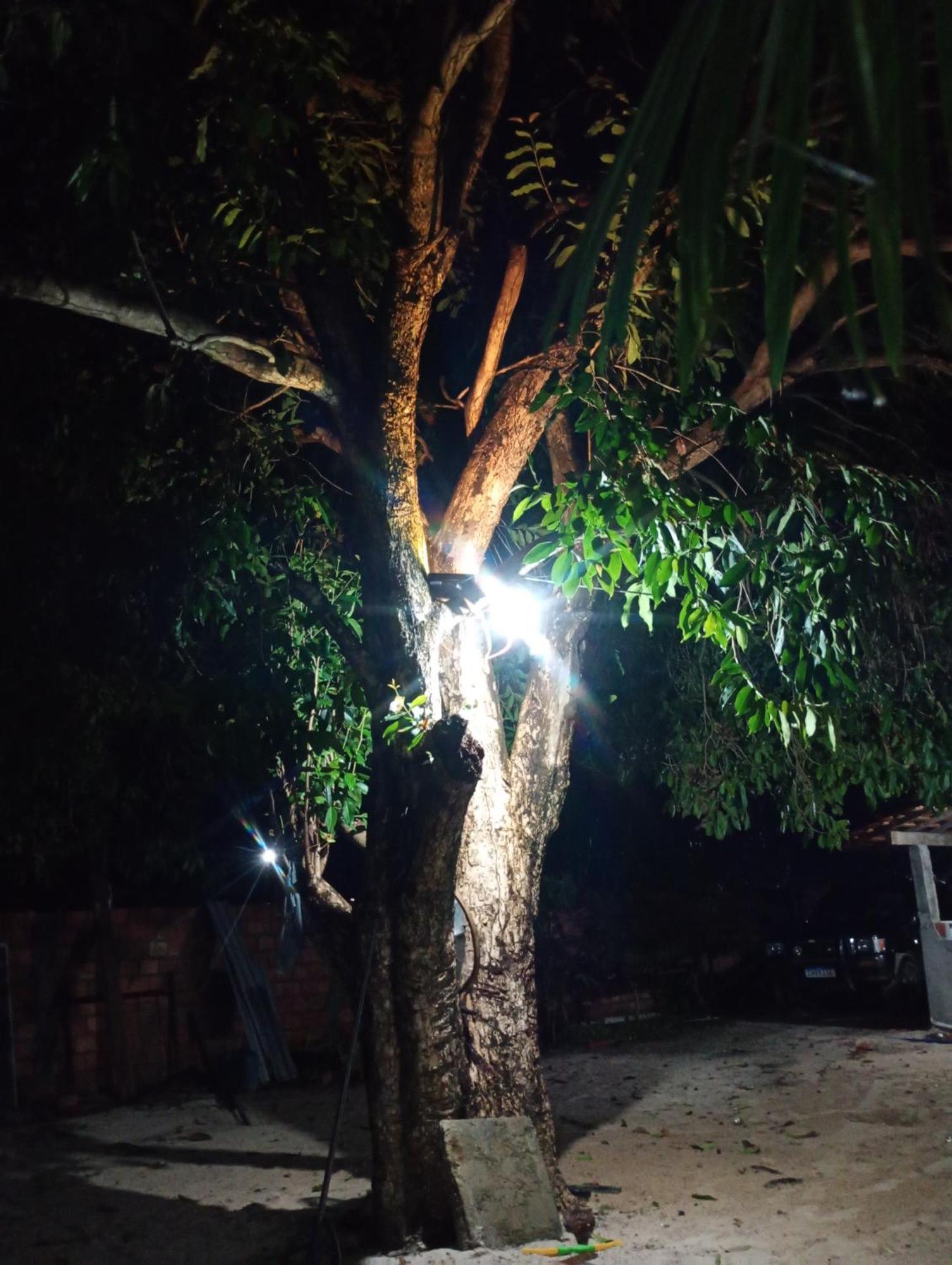 Pousada Shalom E Hostel Holly Land Santo Amaro do Maranhao Eksteriør bilde