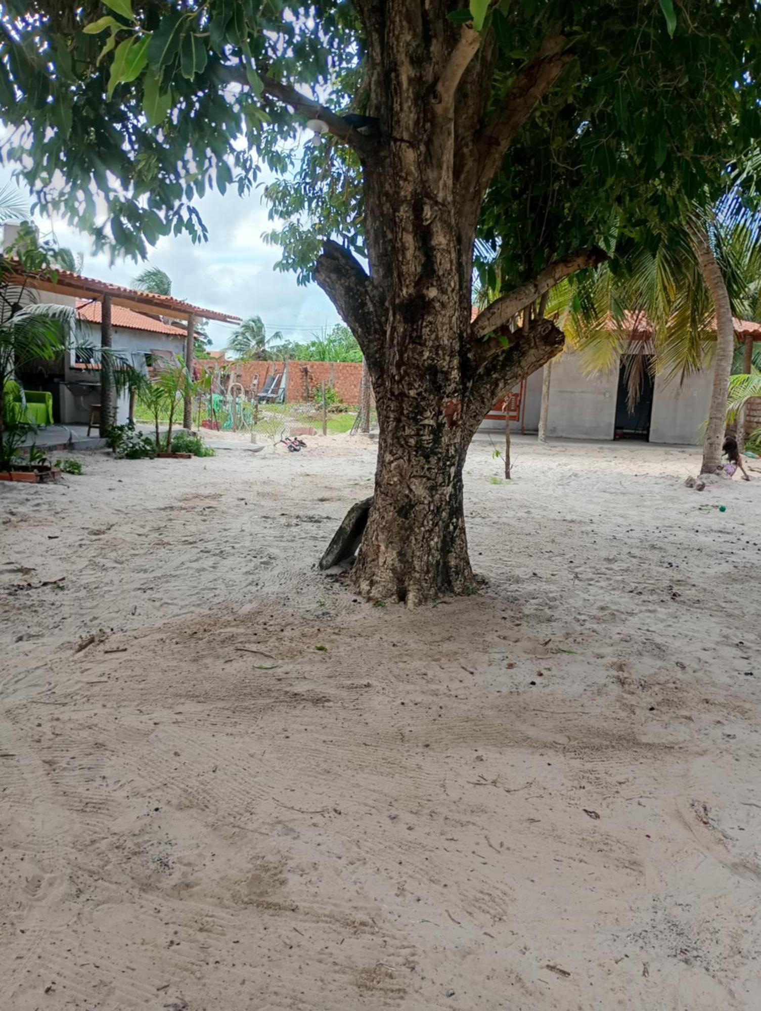 Pousada Shalom E Hostel Holly Land Santo Amaro do Maranhao Eksteriør bilde